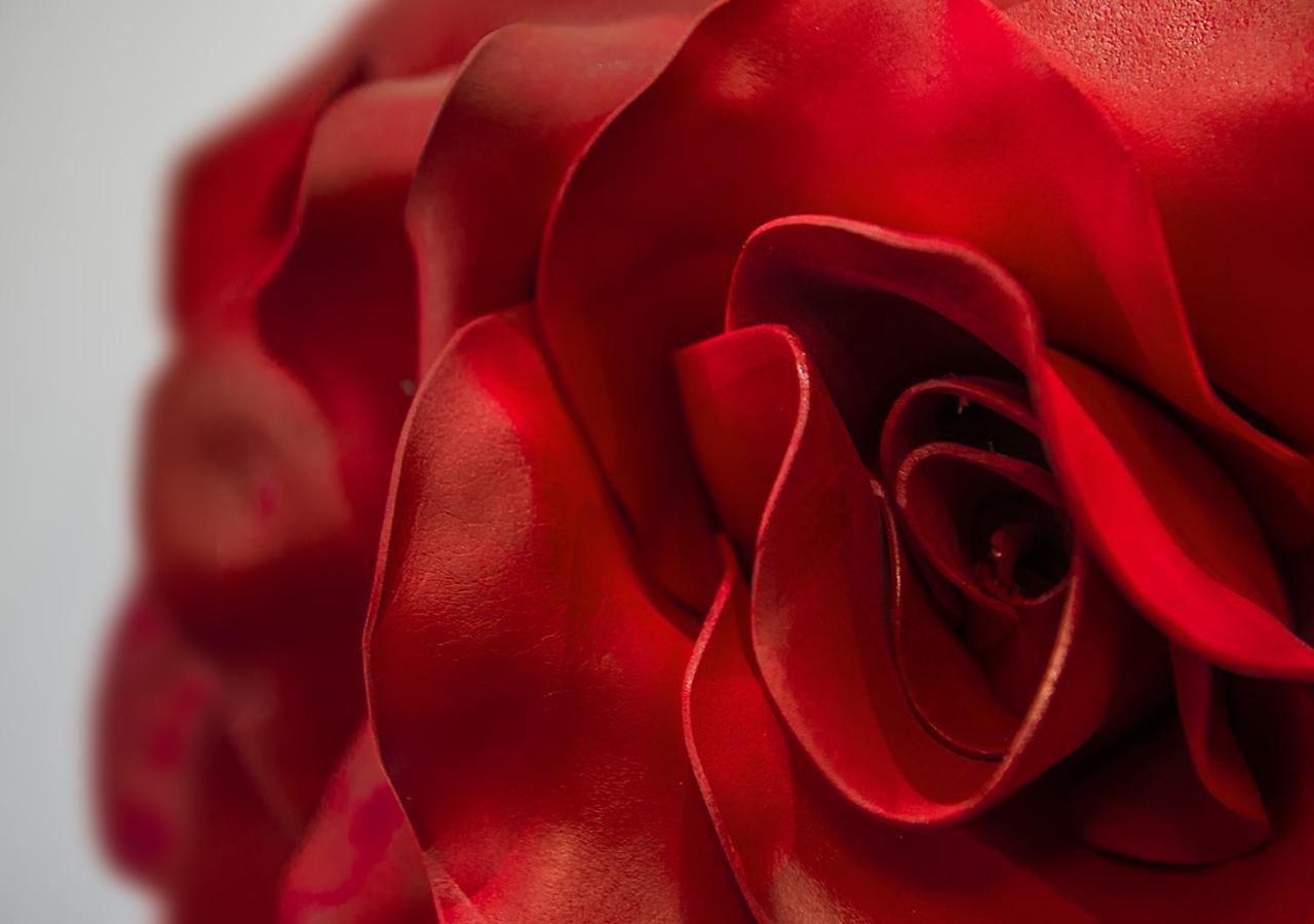 Le Stanze Dei Fiori 호텔 볼로냐 외부 사진