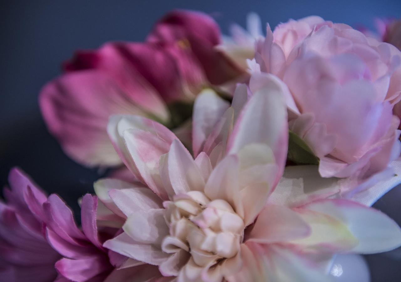 Le Stanze Dei Fiori 호텔 볼로냐 외부 사진