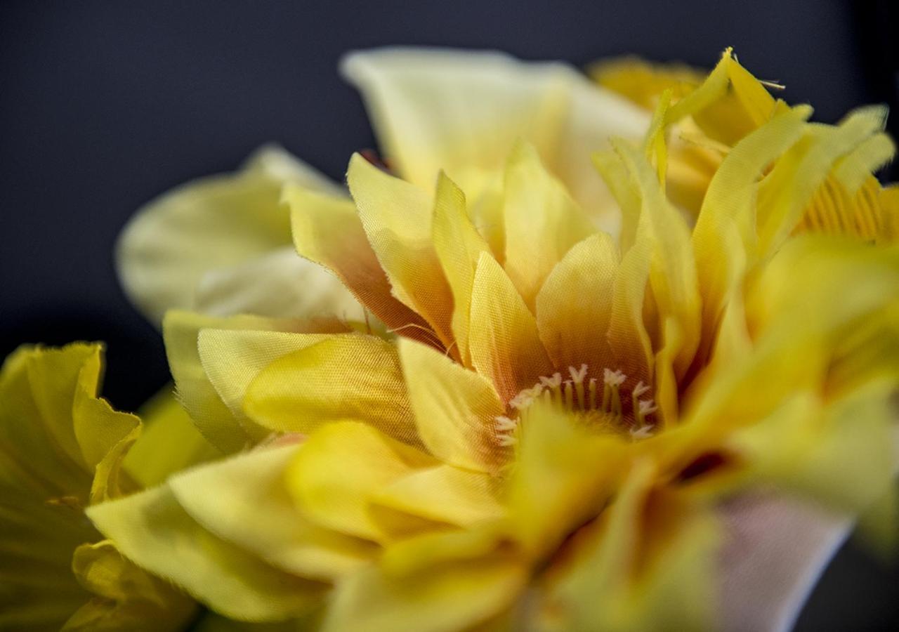 Le Stanze Dei Fiori 호텔 볼로냐 외부 사진