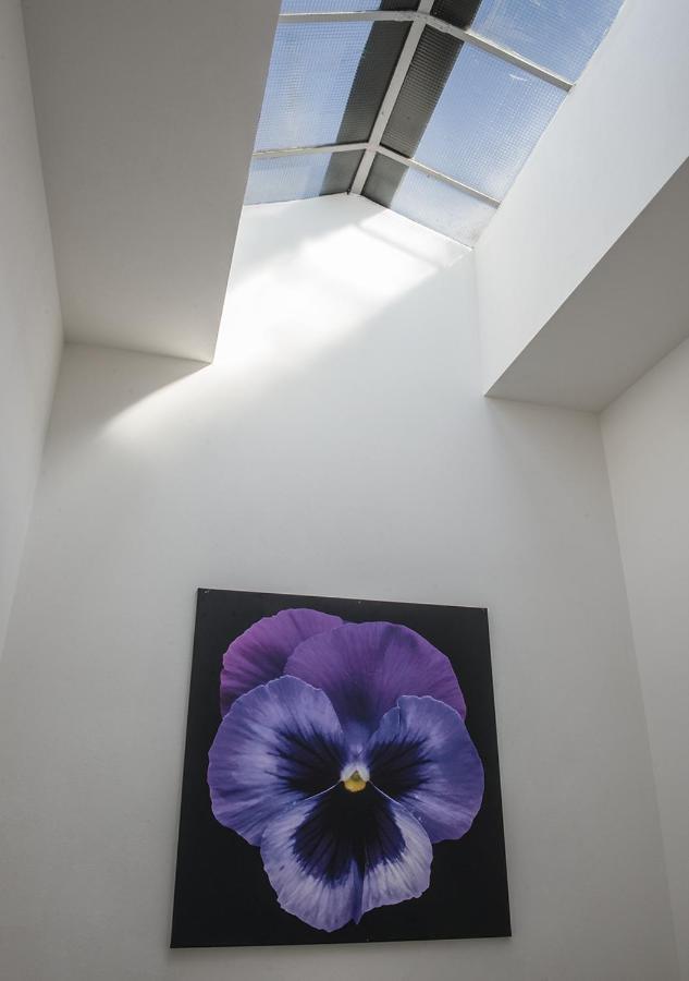 Le Stanze Dei Fiori 호텔 볼로냐 외부 사진
